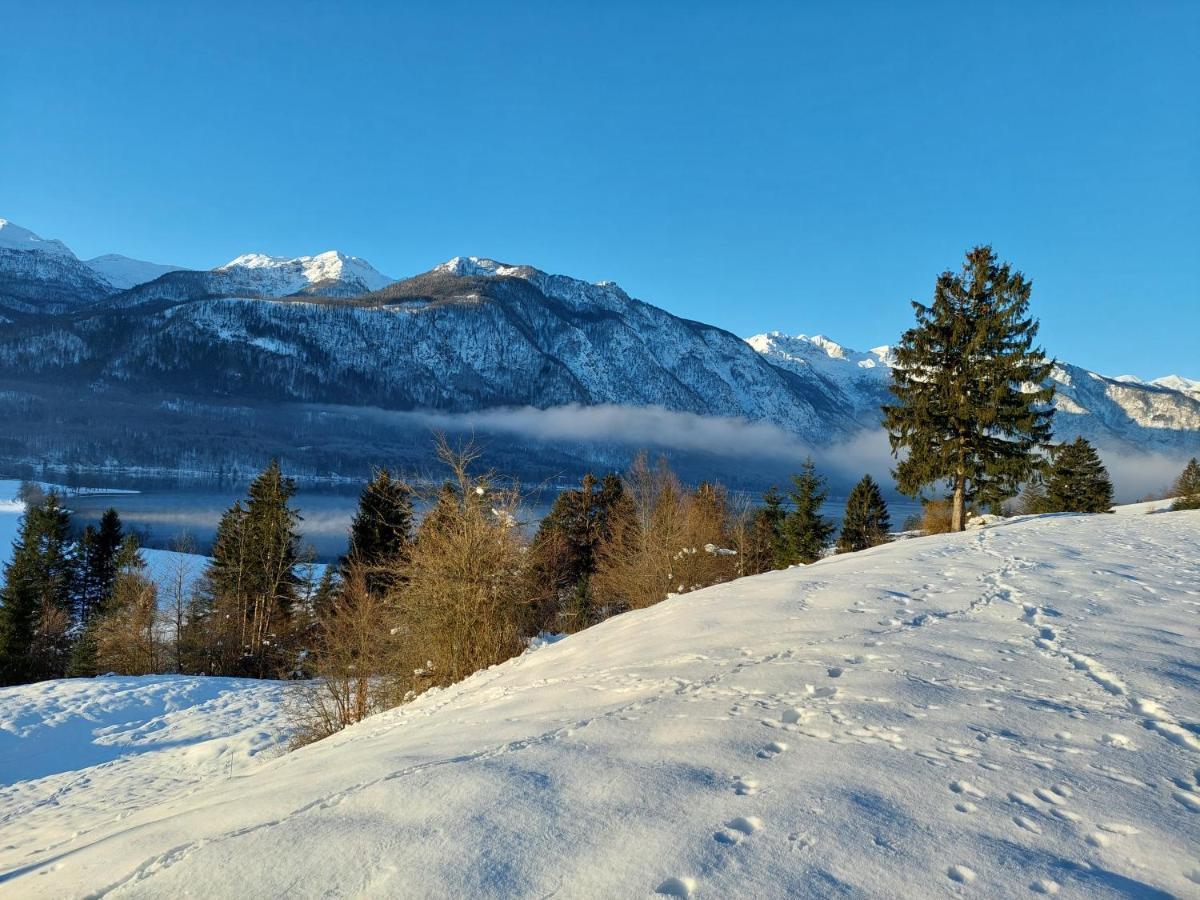 Apartamento Apartmaji Vesna Bohinj Exterior foto